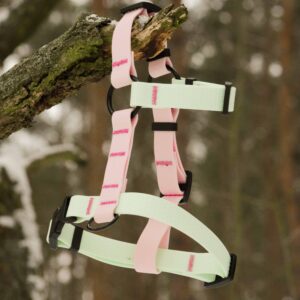 Dwukolorowe szelki guard z paska hexa