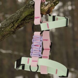 Dwukolorowe szelki guard z paska hexa/paracord