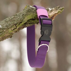 Fioletowa wodoodporna obroża dla psa WoofMade