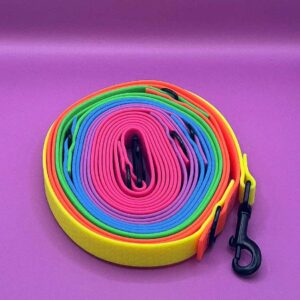 Wodoodporna smycz dla psa Rainbow