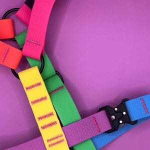 Wodoodporne szelki guard Rainbow