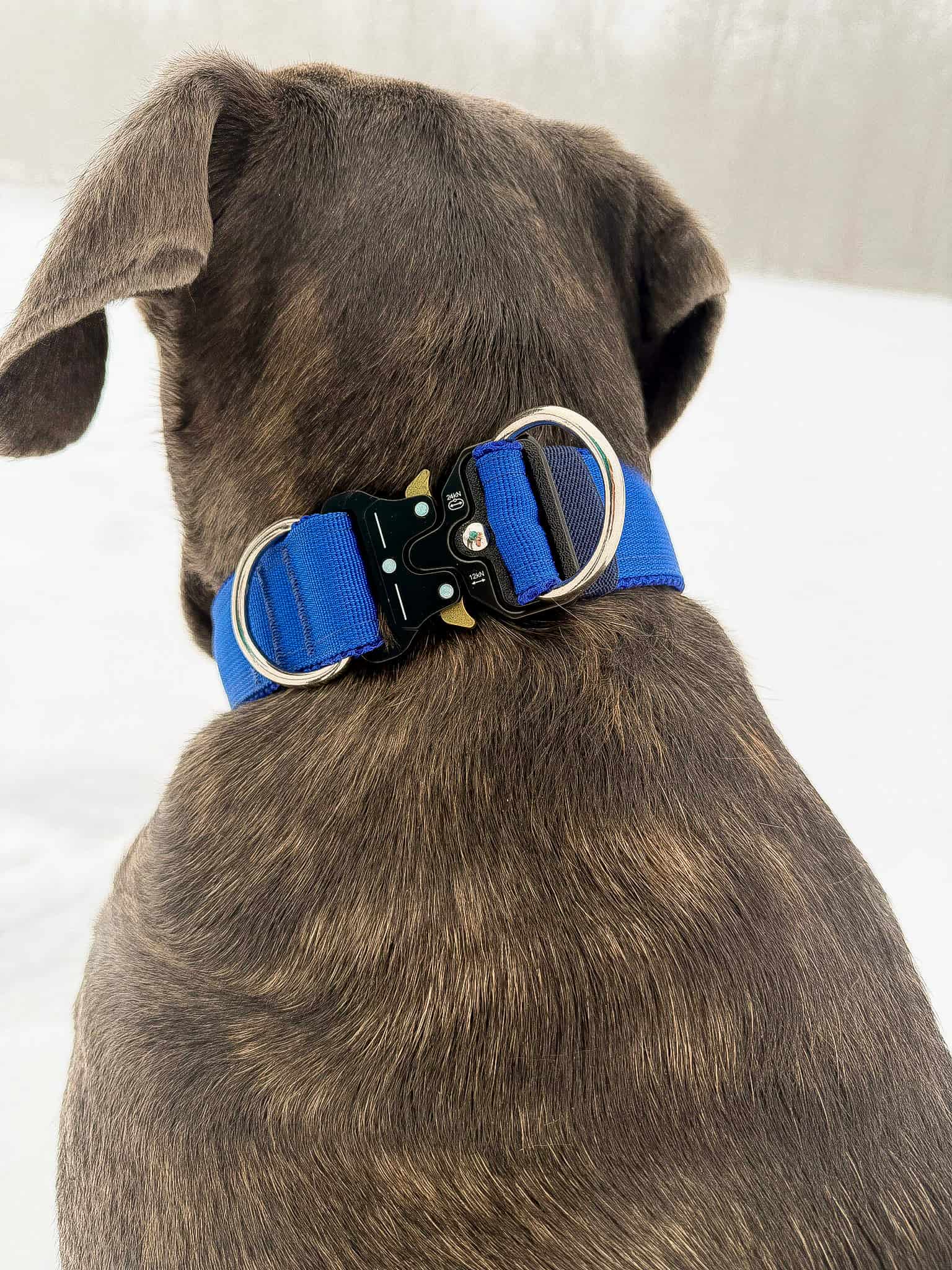 Obroża doublelock z podszyciem z siatki - obrazek 5