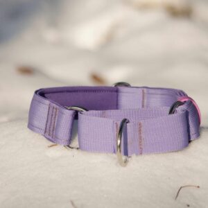 Obroża martingale z podszyciem z neoprenu