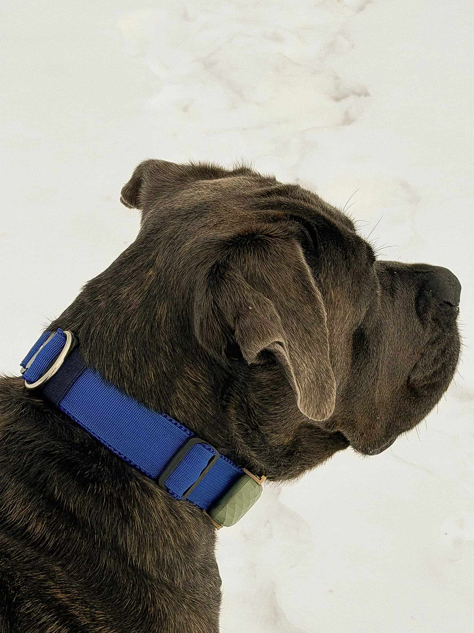 Obroża doublelock z podszyciem z siatki - obrazek 4