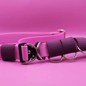 Wodoodporny pas spacerowy dla psa