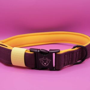 Obroża z podszyciem z neoprenu