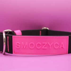 Personalizowana wodoodporna obroża strong dla psa z napisem